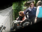 worms tiergarten 2011 bild005.jpg