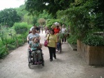 heidelberger zoo 2010 bild008.jpg