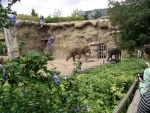 2013 Heidelberger Zoo Foto4.jpg